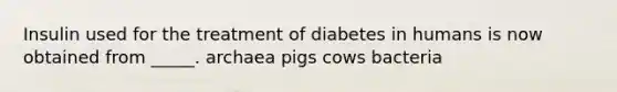 Insulin used for the treatment of diabetes in humans is now obtained from _____. archaea pigs cows bacteria