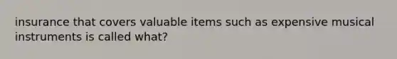 insurance that covers valuable items such as expensive musical instruments is called what?