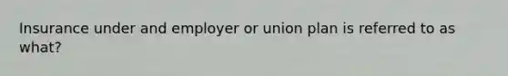 Insurance under and employer or union plan is referred to as what?