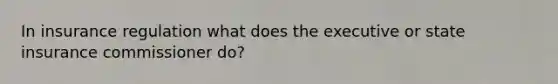 In insurance regulation what does the executive or state insurance commissioner do?