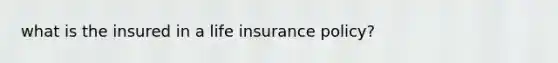 what is the insured in a life insurance policy?