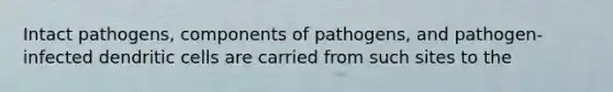 Intact pathogens, components of pathogens, and pathogen-infected dendritic cells are carried from such sites to the