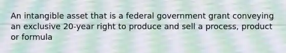 An intangible asset that is a federal government grant conveying an exclusive 20-year right to produce and sell a process, product or formula