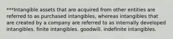 ***Intangible assets that are acquired from other entities are referred to as purchased intangibles, whereas intangibles that are created by a company are referred to as internally developed intangibles. finite intangibles. goodwill. indefinite intangibles.