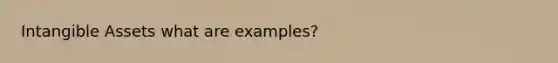 <a href='https://www.questionai.com/knowledge/kfaeAOzavC-intangible-assets' class='anchor-knowledge'>intangible assets</a> what are examples?