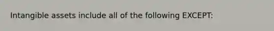 Intangible assets include all of the following EXCEPT: