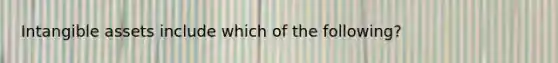 Intangible assets include which of the following?