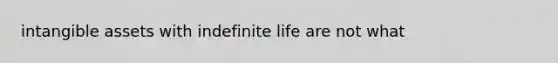 intangible assets with indefinite life are not what