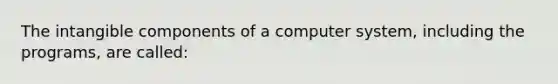 The intangible components of a computer system, including the programs, are called: