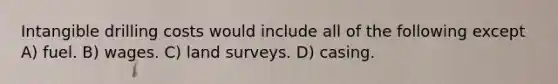 Intangible drilling costs would include all of the following except A) fuel. B) wages. C) land surveys. D) casing.