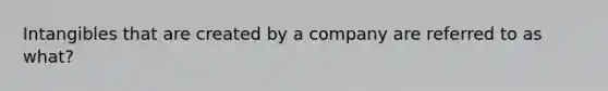 Intangibles that are created by a company are referred to as what?