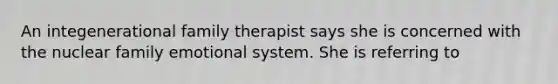 An integenerational family therapist says she is concerned with the nuclear family emotional system. She is referring to