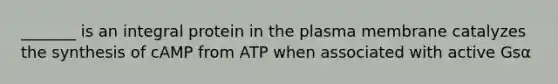 _______ is an integral protein in the plasma membrane catalyzes the synthesis of cAMP from ATP when associated with active Gsα