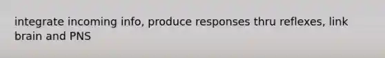 integrate incoming info, produce responses thru reflexes, link brain and PNS