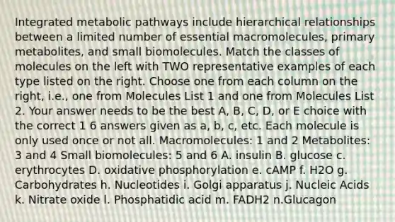 Integrated metabolic pathways include hierarchical relationships between a limited number of essential macromolecules, primary metabolites, and small biomolecules. Match the classes of molecules on the left with TWO representative examples of each type listed on the right. Choose one from each column on the right, i.e., one from Molecules List 1 and one from Molecules List 2. Your answer needs to be the best A, B, C, D, or E choice with the correct 1 6 answers given as a, b, c, etc. Each molecule is only used once or not all. Macromolecules: 1 and 2 Metabolites: 3 and 4 Small biomolecules: 5 and 6 A. insulin B. glucose c. erythrocytes D. oxidative phosphorylation e. cAMP f. H2O g. Carbohydrates h. Nucleotides i. Golgi apparatus j. Nucleic Acids k. Nitrate oxide l. Phosphatidic acid m. FADH2 n.Glucagon