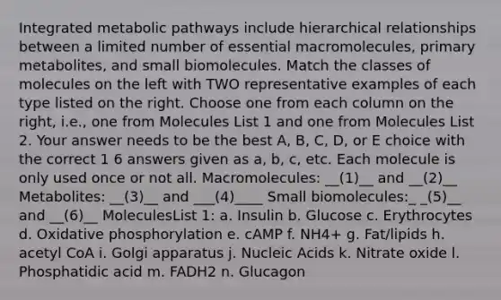 Integrated metabolic pathways include hierarchical relationships between a limited number of essential macromolecules, primary metabolites, and small biomolecules. Match the classes of molecules on the left with TWO representative examples of each type listed on the right. Choose one from each column on the right, i.e., one from Molecules List 1 and one from Molecules List 2. Your answer needs to be the best A, B, C, D, or E choice with the correct 1 6 answers given as a, b, c, etc. Each molecule is only used once or not all. Macromolecules: __(1)__ and __(2)__ Metabolites: __(3)__ and ___(4)____ Small biomolecules:_ _(5)__ and __(6)__ MoleculesList 1: a. Insulin b. Glucose c. Erythrocytes d. Oxidative phosphorylation e. cAMP f. NH4+ g. Fat/lipids h. acetyl CoA i. Golgi apparatus j. Nucleic Acids k. Nitrate oxide l. Phosphatidic acid m. FADH2 n. Glucagon