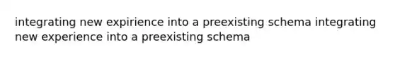 integrating new expirience into a preexisting schema integrating new experience into a preexisting schema