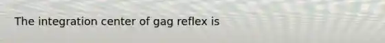 The integration center of gag reflex is