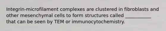 Integrin-microfilament complexes are clustered in fibroblasts and other mesenchymal cells to form structures called ___________ that can be seen by TEM or immunocytochemistry.