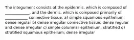 The integument consists of the epidermis, which is composed of _____________, and the dermis, which is composed primarily of ____________ connective tissue. a) simple squamous epithelium; dense regular b) dense irregular connective tissue; dense regular and dense irregular c) simple columnar epithelium; stratified d) stratified squamous epithelium; dense irregular