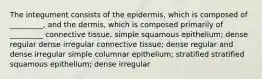 The integument consists of the epidermis, which is composed of _________, and the dermis, which is composed primarily of _________ connective tissue. simple squamous epithelium; dense regular dense irregular connective tissue; dense regular and dense irregular simple columnar epithelium; stratified stratified squamous epithelium; dense irregular