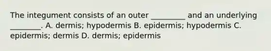 The integument consists of an outer _________ and an underlying ________. A. dermis; hypodermis B. epidermis; hypodermis C. epidermis; dermis D. dermis; epidermis