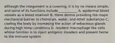 although the integument is a covering, it is by no means simple, and some of its functions include____________ A. epidermal blood vessels as a blood reservoir B. there dermis providing the major mechanical barrier to chemicals, water, and other substances C. cooling the body by increasing the action of sebaceous glands during high temp conditions D. resident macrophage like cells whose function is to inject antigenic invaders and present heme to the immune system