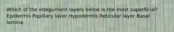 Which of the integument layers below is the most superficial? Epidermis Papillary layer Hypodermis Reticular layer Basal lamina