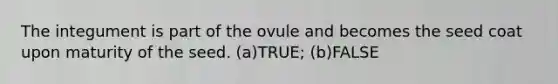 The integument is part of the ovule and becomes the seed coat upon maturity of the seed. (a)TRUE; (b)FALSE