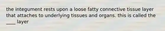 the integument rests upon a loose fatty <a href='https://www.questionai.com/knowledge/kYDr0DHyc8-connective-tissue' class='anchor-knowledge'>connective tissue</a> layer that attaches to underlying tissues and organs. this is called the ____ layer