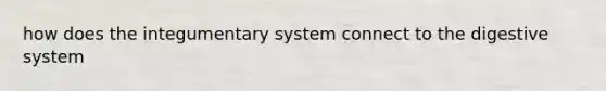 how does the integumentary system connect to the digestive system