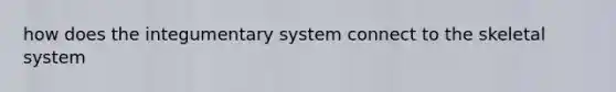 how does the integumentary system connect to the skeletal system