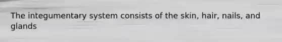 The integumentary system consists of the skin, hair, nails, and glands