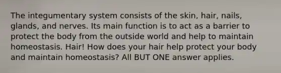 The integumentary system consists of the skin, hair, nails, glands, and nerves. Its main function is to act as a barrier to protect the body from the outside world and help to maintain homeostasis. Hair! How does your hair help protect your body and maintain homeostasis? All BUT ONE answer applies.