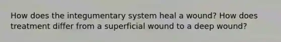 How does the integumentary system heal a wound? How does treatment differ from a superficial wound to a deep wound?