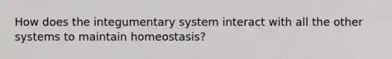 How does the integumentary system interact with all the other systems to maintain homeostasis?