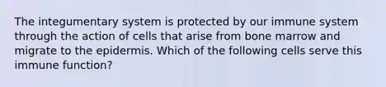 The integumentary system is protected by our immune system through the action of cells that arise from bone marrow and migrate to <a href='https://www.questionai.com/knowledge/kBFgQMpq6s-the-epidermis' class='anchor-knowledge'>the epidermis</a>. Which of the following cells serve this immune function?