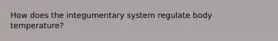 How does the integumentary system regulate body temperature?