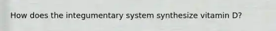 How does the integumentary system synthesize vitamin D?