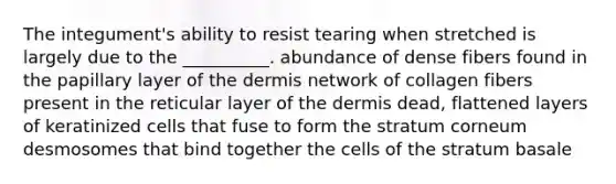 The integument's ability to resist tearing when stretched is largely due to the __________. abundance of dense fibers found in the papillary layer of the dermis network of collagen fibers present in the reticular layer of the dermis dead, flattened layers of keratinized cells that fuse to form the stratum corneum desmosomes that bind together the cells of the stratum basale