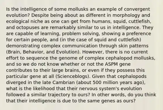 Is the intelligence of some mollusks an example of convergent evolution? Despite being about as different in morphology and ecological niche as one can get from humans, squid, cuttlefish, and octopuses are remarkably similar to us in intelligence. They are capable of learning, problem solving, showing a preference for certain people, and (in the case of squid and cuttlefish) demonstrating complex communication through skin patterns (Brain, Behavior, and Evolution). However, there is no current effort to sequence the genome of complex cephalopod mollusks, and so we do not know whether or not the ASPM gene contributes to their large brains, or even if they possess this particular gene at all (Scienceblogs). Given that cephalopods diverged in the late Cambrian (about 500 million years ago), what is the likelihood that their nervous system's evolution followed a similar trajectory to ours? In other words, do you think that their intelligence is due to the same genes as ours?