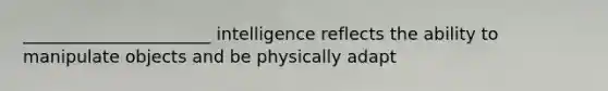 ______________________ intelligence reflects the ability to manipulate objects and be physically adapt