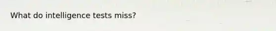 What do intelligence tests miss?