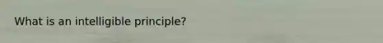 What is an intelligible principle?