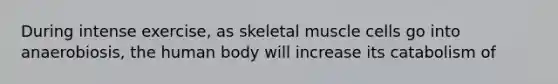 During intense exercise, as skeletal muscle cells go into anaerobiosis, the human body will increase its catabolism of