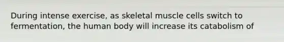 During intense exercise, as skeletal muscle cells switch to fermentation, the human body will increase its catabolism of