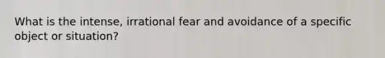 What is the intense, irrational fear and avoidance of a specific object or situation?