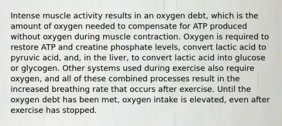 Intense muscle activity results in an oxygen debt, which is the amount of oxygen needed to compensate for ATP produced without oxygen during muscle contraction. Oxygen is required to restore ATP and creatine phosphate levels, convert lactic acid to pyruvic acid, and, in the liver, to convert lactic acid into glucose or glycogen. Other systems used during exercise also require oxygen, and all of these combined processes result in the increased breathing rate that occurs after exercise. Until the oxygen debt has been met, oxygen intake is elevated, even after exercise has stopped.