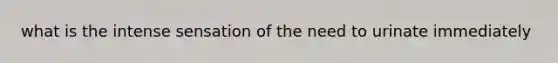 what is the intense sensation of the need to urinate immediately