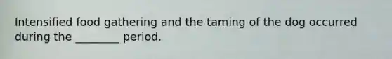 Intensified food gathering and the taming of the dog occurred during the ________ period.